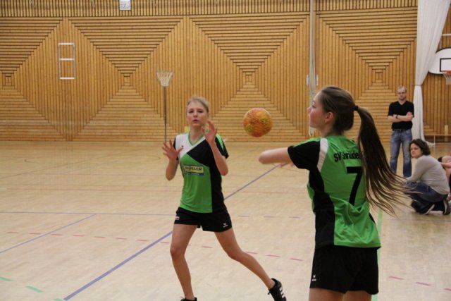 2016_01_16 Landesliga Jugend 19